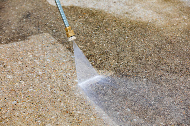 Best Roof Cleaning and Mildew Removal in Germantown, TN
